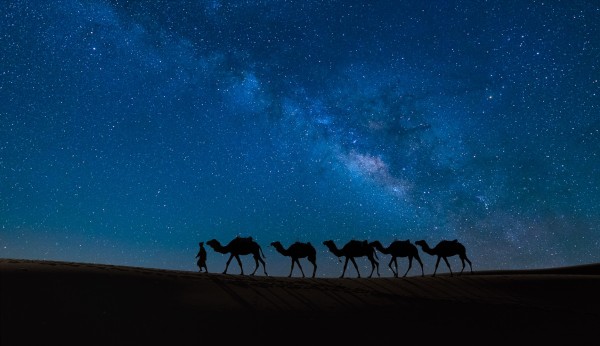 J1S1I206